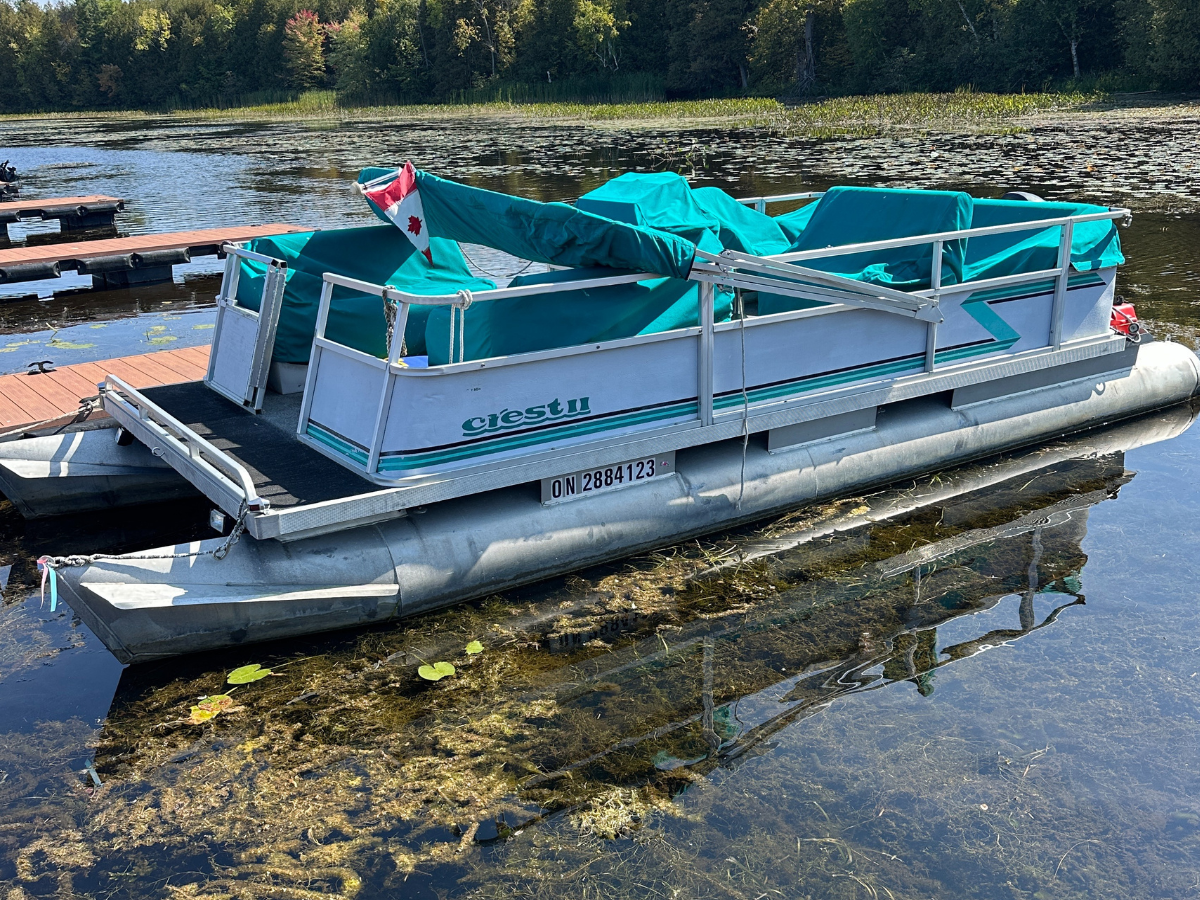 Photo of Crest 21 (As Is)